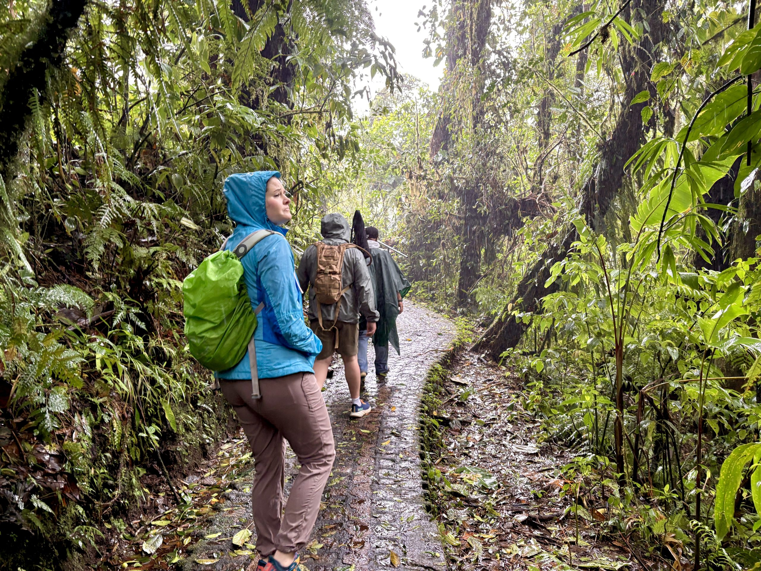 Selvatura Hanging Bridges Walk - Image 9